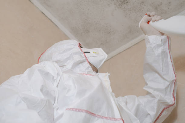 Best Mold Testing and Inspection Services in Oaklawn Sunview, KS